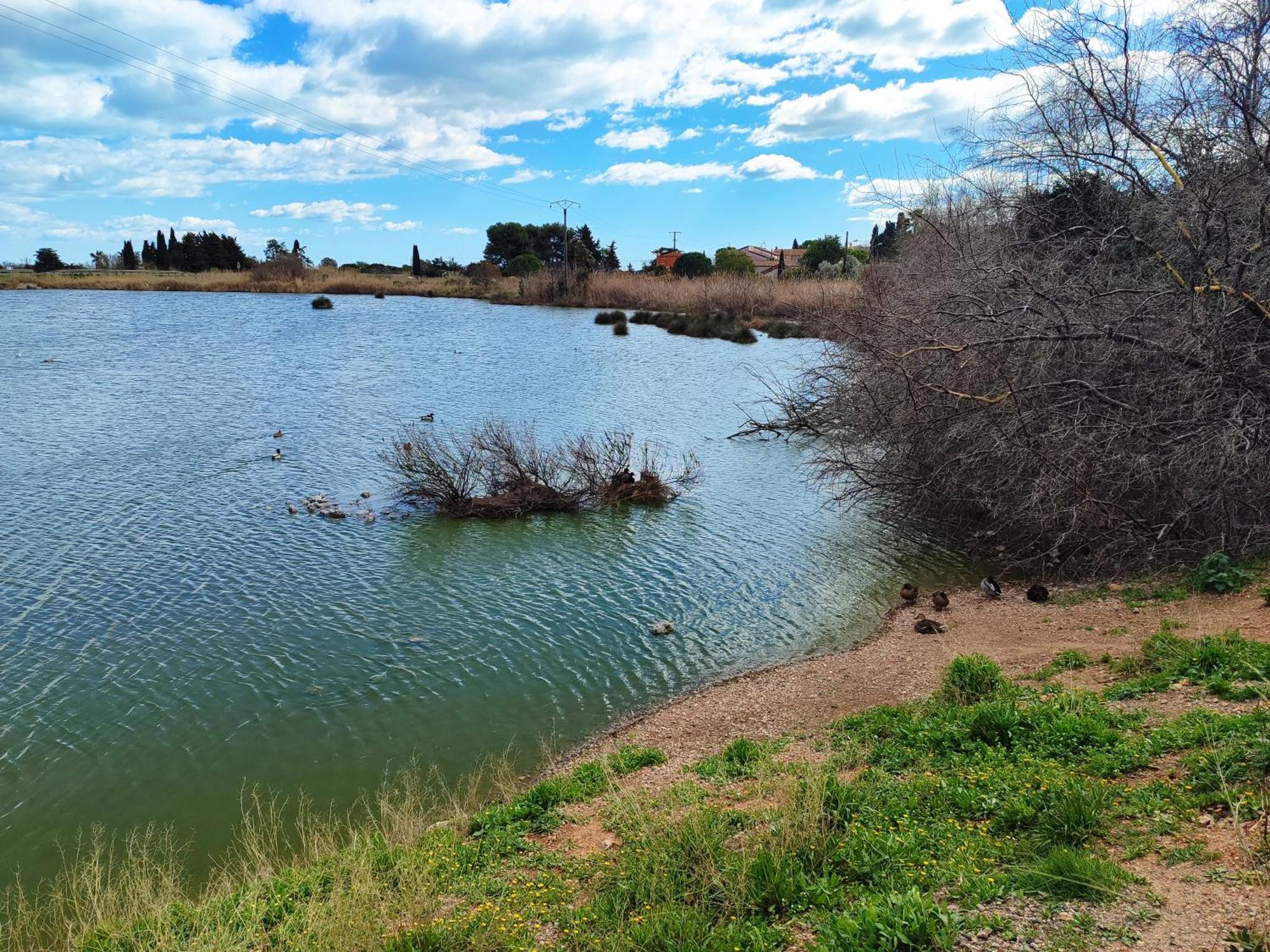 Mobilhome Au Camping Les Salins De La Gardiole Ex Camping Europe Vic-la-Gardiole Zewnętrze zdjęcie