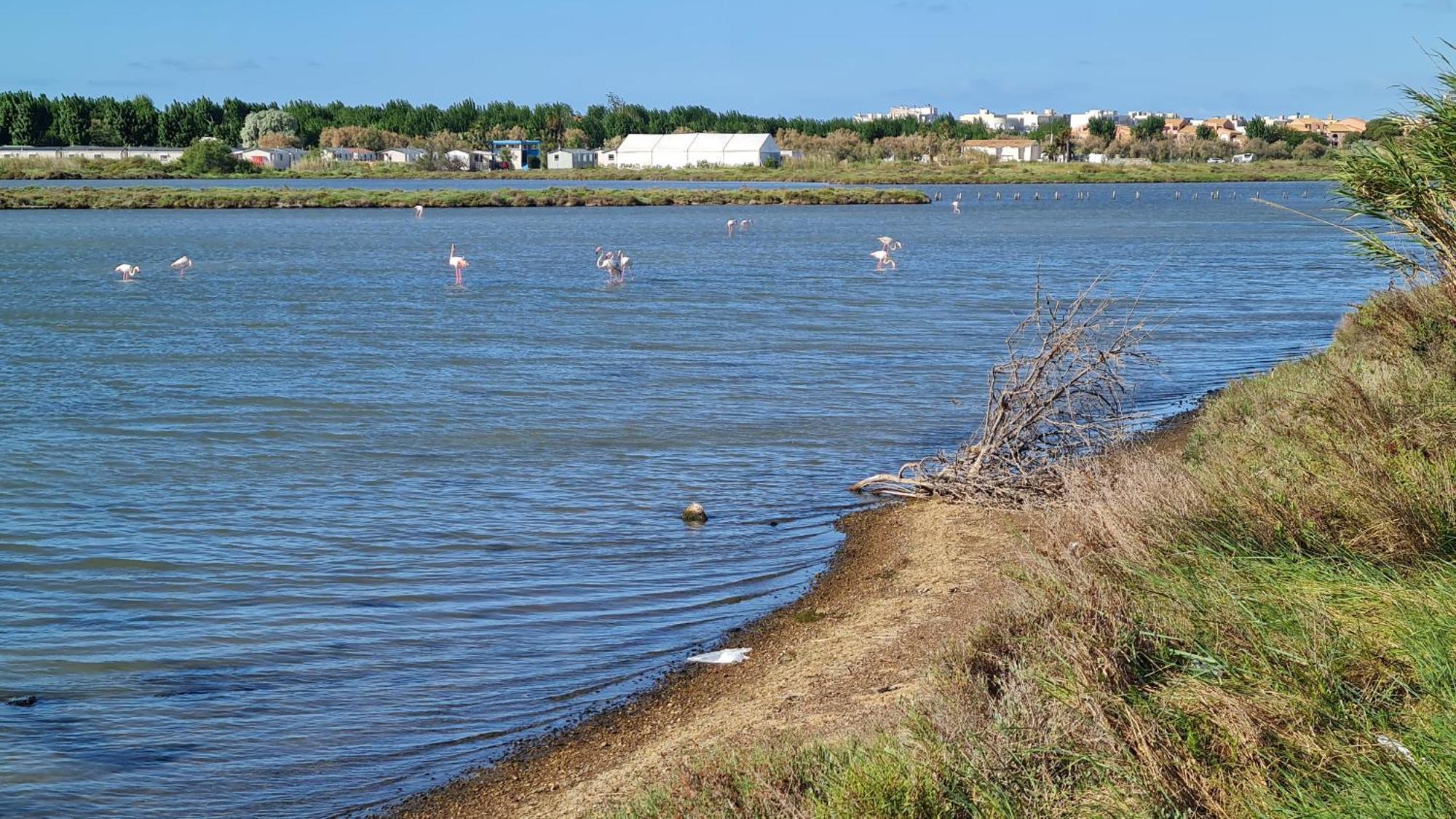 Mobilhome Au Camping Les Salins De La Gardiole Ex Camping Europe Vic-la-Gardiole Zewnętrze zdjęcie